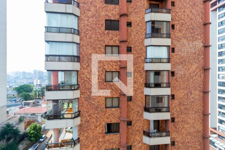 Vista - Suíte 1 de apartamento para alugar com 2 quartos, 120m² em Parque da Mooca, São Paulo