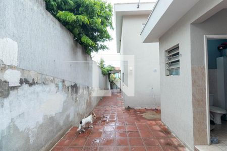 Casa à venda com 134m², 2 quartos e 2 vagas Casa à venda com 134m², 2 quartos e 2 vagasQuintal