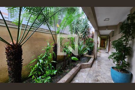 Casa para alugar com 260m², 4 quartos e 2 vagasJardim