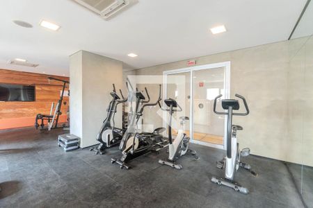 Apartamento para alugar com 23m², 1 quarto e sem vagaÁrea comum - Academia