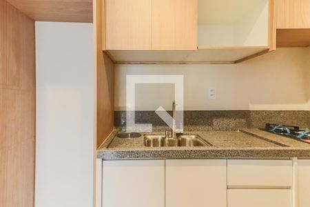 Sala / Cozinha / Lavanderia de apartamento para alugar com 1 quarto, 31m² em Vila Sonia, São Paulo