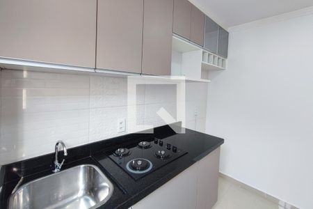 Cozinha de apartamento para alugar com 2 quartos, 48m² em Jardim Anton Von Zuben, Campinas