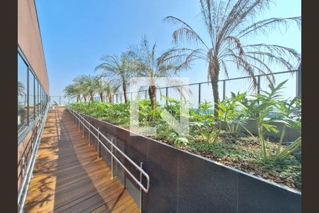 Apartamento para alugar com 27m², 1 quarto e sem vagaÁrea comum