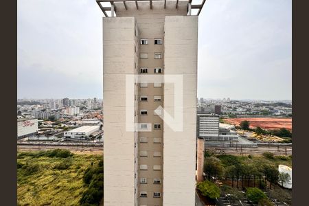 Apartamento à venda com 115m², 3 quartos e 2 vagasVista da suite 