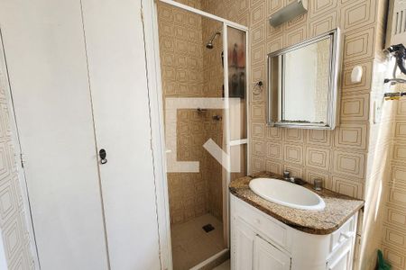 Banheiro de apartamento para alugar com 1 quarto, 31m² em Laranjeiras, Rio de Janeiro
