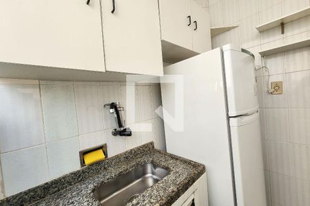 Cozinha de apartamento para alugar com 1 quarto, 31m² em Laranjeiras, Rio de Janeiro