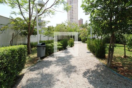 Apartamento à venda com 53m², 2 quartos e 1 vagaÁrea Comum - Espaço Pet