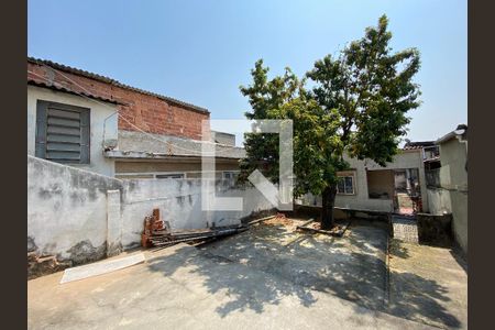 Studio para alugar com 13m², 1 quarto e sem vagaQuintal