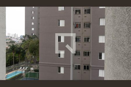 Apartamento para alugar com 60m², 3 quartos e 1 vagaVista da Área de Serviço