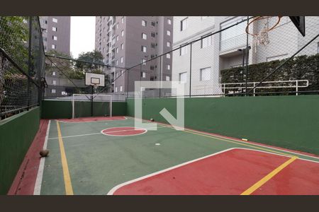 Apartamento para alugar com 60m², 3 quartos e 1 vagaQuadra