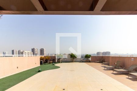 Apartamento para alugar com 34m², 2 quartos e sem vaga Apartamento para alugar com 34m², 2 quartos e sem vagaSolarium