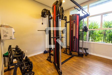Apartamento para alugar com 80m², 2 quartos e 2 vagas Apartamento para alugar com 80m², 2 quartos e 2 vagasÁrea comum - Academia