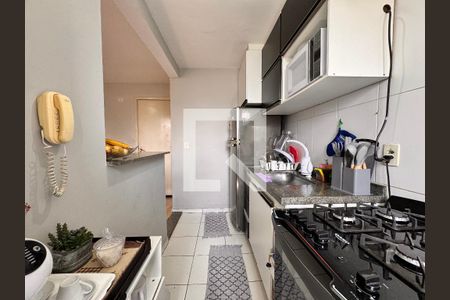 Cozinha de apartamento para alugar com 2 quartos, 48m² em Parque São Vicente, Santo André