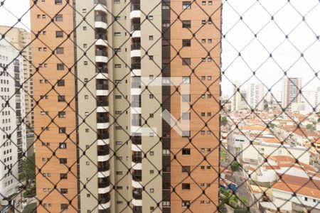 Apartamento à venda com 300m², 4 quartos e 4 vagas Apartamento à venda com 300m², 4 quartos e 4 vagasVista Suíte 2