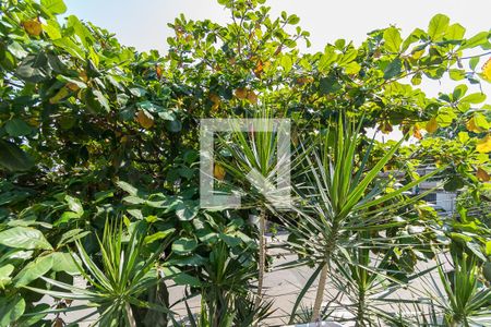 Apartamento para alugar com 160m², 4 quartos e sem vaga Apartamento para alugar com 160m², 4 quartos e sem vagaApt 1 - Vista da Cozinha