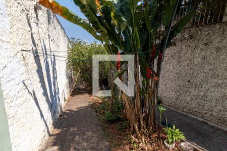 Casa à venda com 211m², 5 quartos e 3 vagasQuintal
