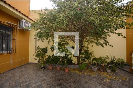 Casa à venda com 240m², 3 quartos e 3 vagasQuintal /Churrasqueira