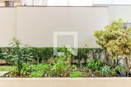 Apartamento à venda com 115m², 3 quartos e 2 vagasÁrea comum - Horta