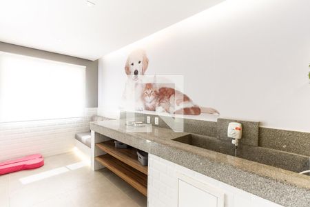 Apartamento para alugar com 39m², 1 quarto e sem vaga Apartamento para alugar com 39m², 1 quarto e sem vagaEspaço Pet