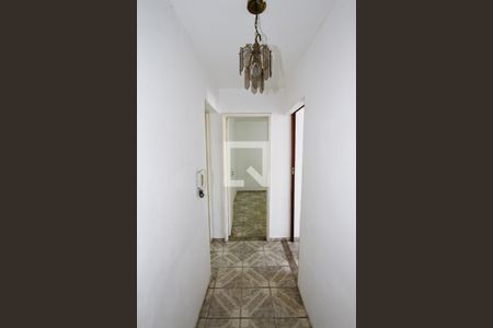 Corredor de casa à venda com 5 quartos, 250m² em Alto dos Pinheiros, Belo Horizonte