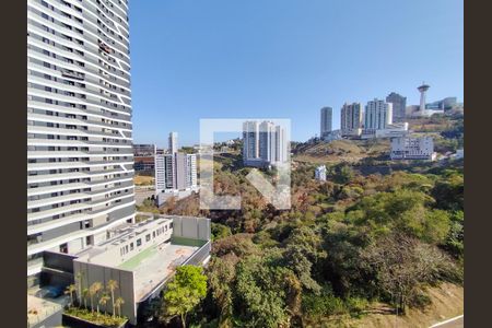 Vista da Sala de apartamento à venda com 3 quartos, 125m² em Vale do Sereno, Nova Lima
