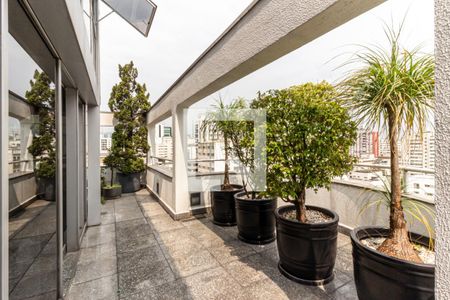 Apartamento à venda com 623m², 3 quartos e 6 vagasCobertura