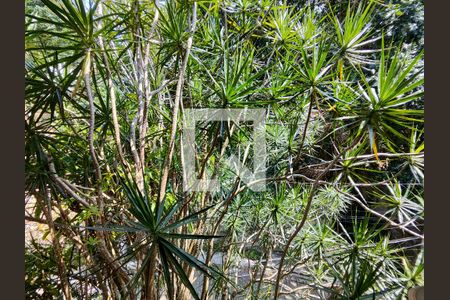 Casa à venda com 300m², 4 quartos e 4 vagasVista do Quarto 2