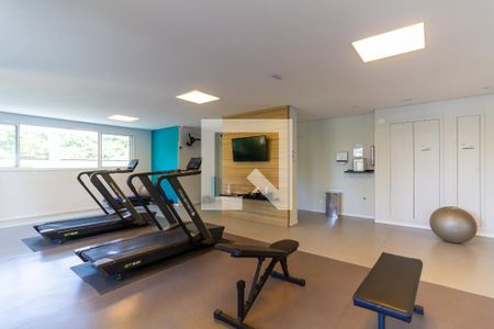 Apartamento para alugar com 54m², 2 quartos e 1 vaga Apartamento para alugar com 54m², 2 quartos e 1 vagaÁrea comum - Academia