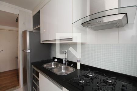 Apartamento para alugar com 57m², 2 quartos e 1 vagaCozinha - Armários