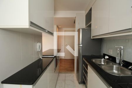 Apartamento para alugar com 57m², 2 quartos e 1 vagaCozinha - Armários