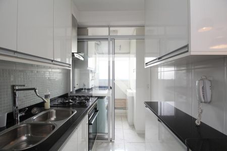 Apartamento para alugar com 57m², 2 quartos e 1 vagaCozinha - Armários