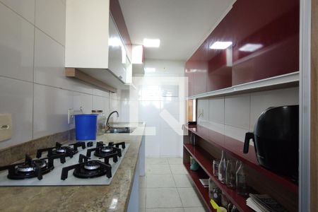 Apartamento à venda com 57m², 2 quartos e 1 vagaCozinha - Armários