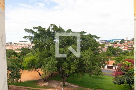 Apartamento à venda com 64m², 3 quartos e 1 vaga Apartamento à venda com 64m², 3 quartos e 1 vagaVista da Sala