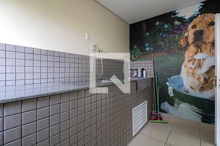 Apartamento à venda com 70m², 3 quartos e 1 vaga Apartamento à venda com 70m², 3 quartos e 1 vagaespaço pet