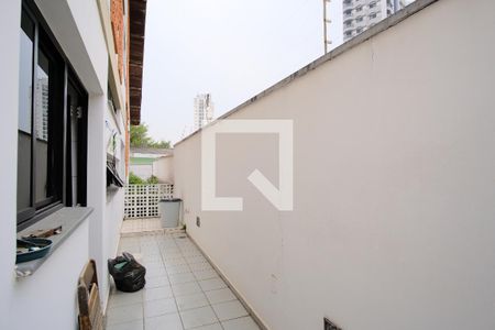 Casa para alugar com 238m², 4 quartos e 4 vagasQuintal 1