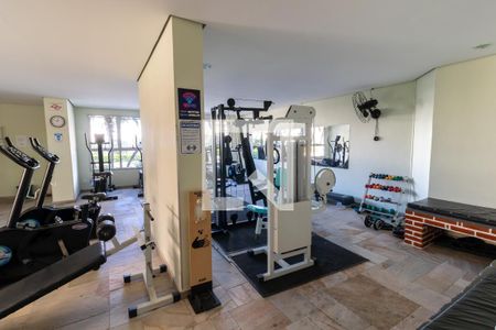Área comum - Academia de apartamento à venda com 3 quartos, 72m² em Jardim Sonia, São Paulo
