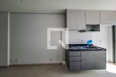 Sala/Quarto/Cozinha de apartamento à venda com 1 quarto, 27m² em Vila Dom Pedro I, São Paulo