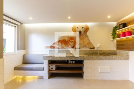 Apartamento para alugar com 30m², 1 quarto e sem vagaEspaço Pet