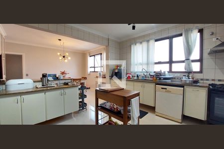 Apartamento à venda com 370m², 5 quartos e 8 vagasCozinha