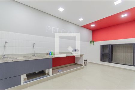 Studio para alugar com 29m², 1 quarto e sem vagaÁrea comum - Espaço Pet