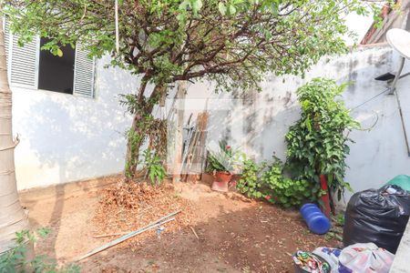 Casa à venda com 244m², 4 quartos e 3 vagasQuintal