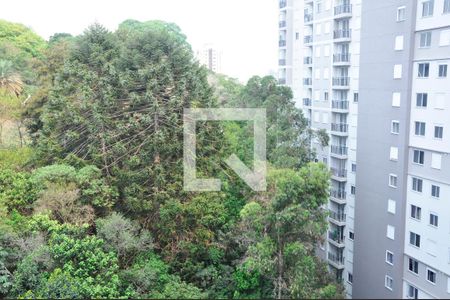 Apartamento à venda com 36m², 2 quartos e sem vaga Apartamento à venda com 36m², 2 quartos e sem vagaDetalhe - Vista do Quarto 01 com Suíte