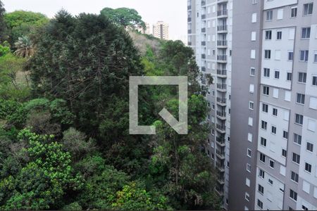 Apartamento à venda com 36m², 2 quartos e sem vaga Apartamento à venda com 36m², 2 quartos e sem vagaDetalhe - Vista do Quarto 02