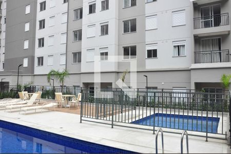 Área comum - Piscina de apartamento à venda com 2 quartos, 36m² em Vila Pirituba, São Paulo