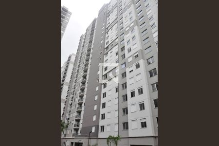 Fachada do bloco de apartamento à venda com 2 quartos, 36m² em Vila Pirituba, São Paulo