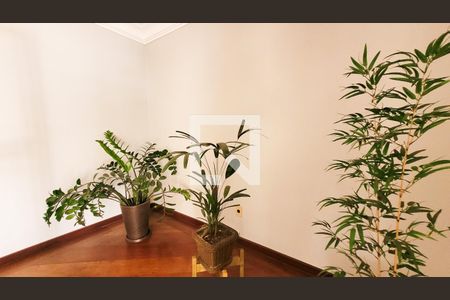 Apartamento à venda com 170m², 4 quartos e 2 vagas Apartamento à venda com 170m², 4 quartos e 2 vagasHall de entrada