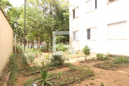 Apartamento para alugar com 47m², 2 quartos e sem vagaÁrea comum - Horta