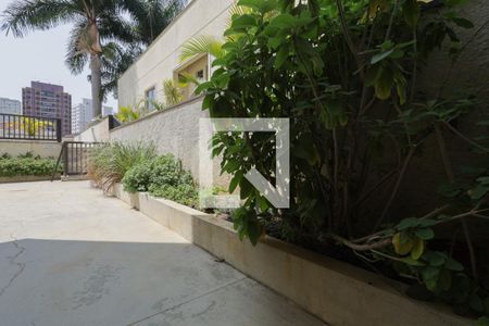 Apartamento à venda com 60m², 2 quartos e 1 vaga Apartamento à venda com 60m², 2 quartos e 1 vagaÁrea comum - Horta comunitária