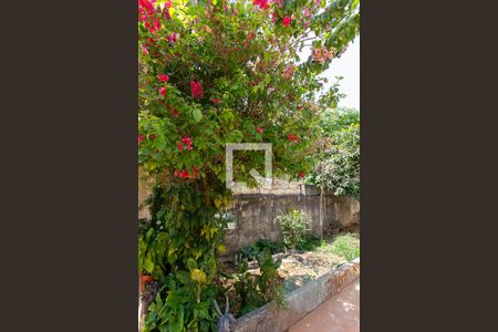 Casa à venda com 200m², 3 quartos e 1 vagaJardim