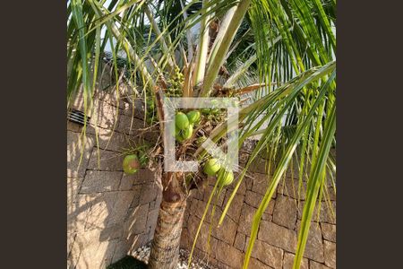 Casa de condomínio à venda com 376m², 3 quartos e 6 vagasÁrea Externa